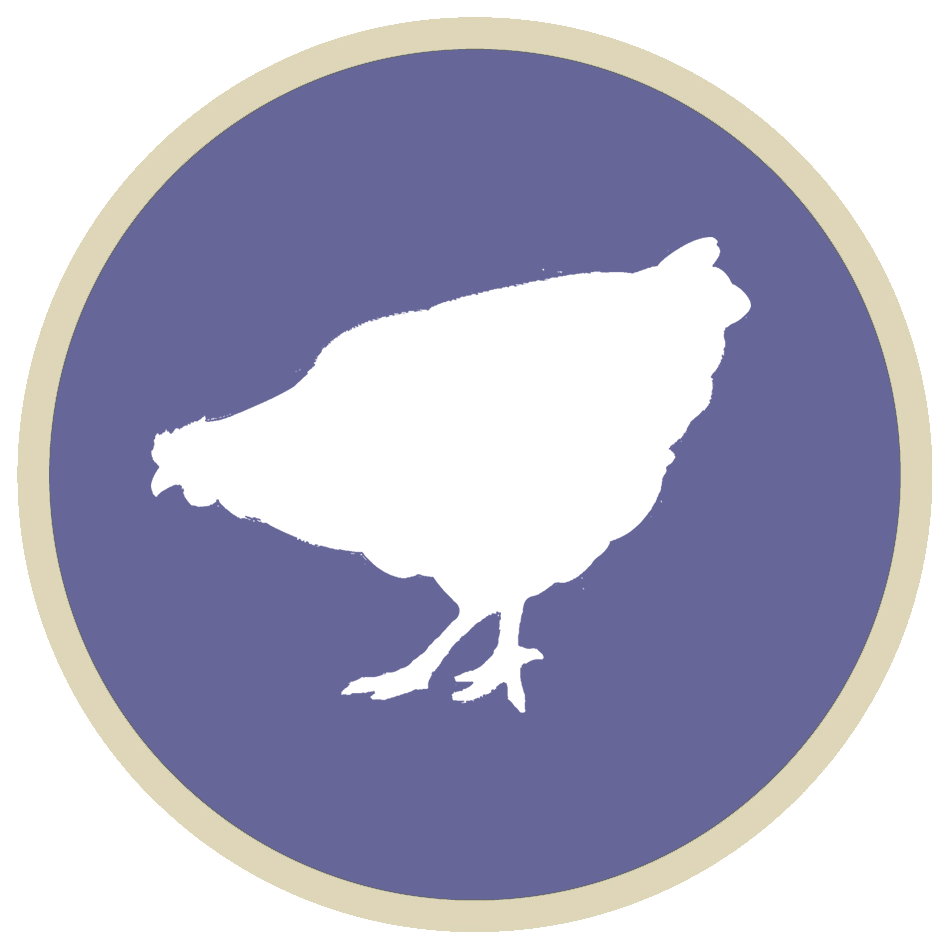 Water Belly (Ascites)