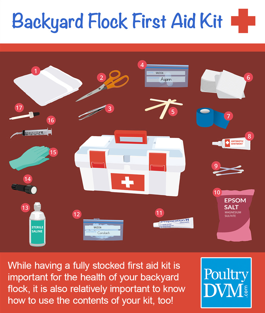 Chicken First Aid Kit Graphic